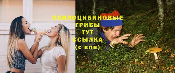 молекула духа Володарск