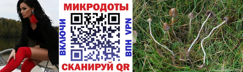 Галлюциногенные грибы Cubensis  наркота  блэк спрут как войти  Елец 
